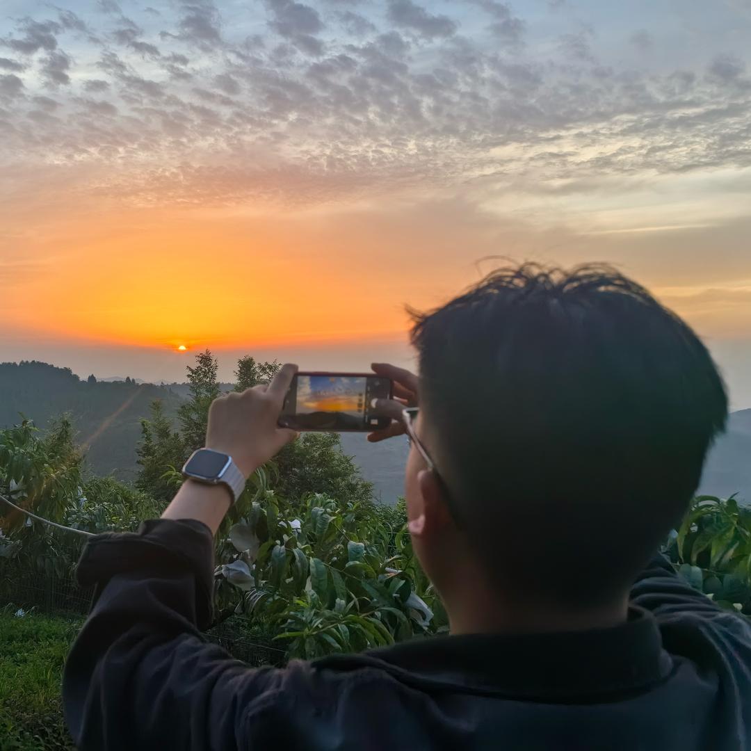 蓝桉长在洱海边