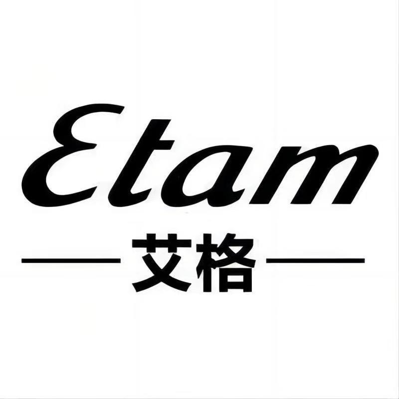 艾格男鞋旗舰店