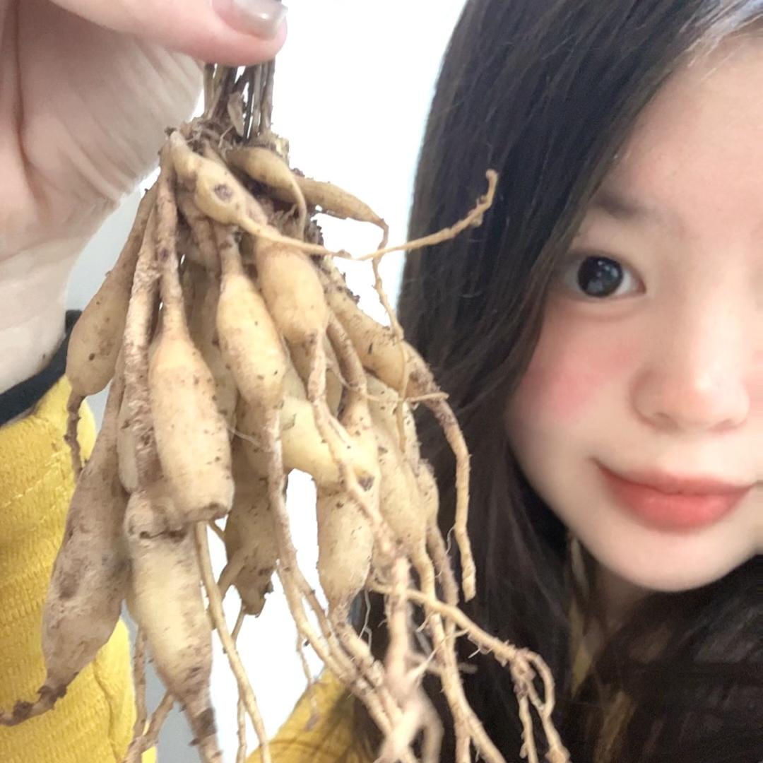 四川康丰农业有限公司A+