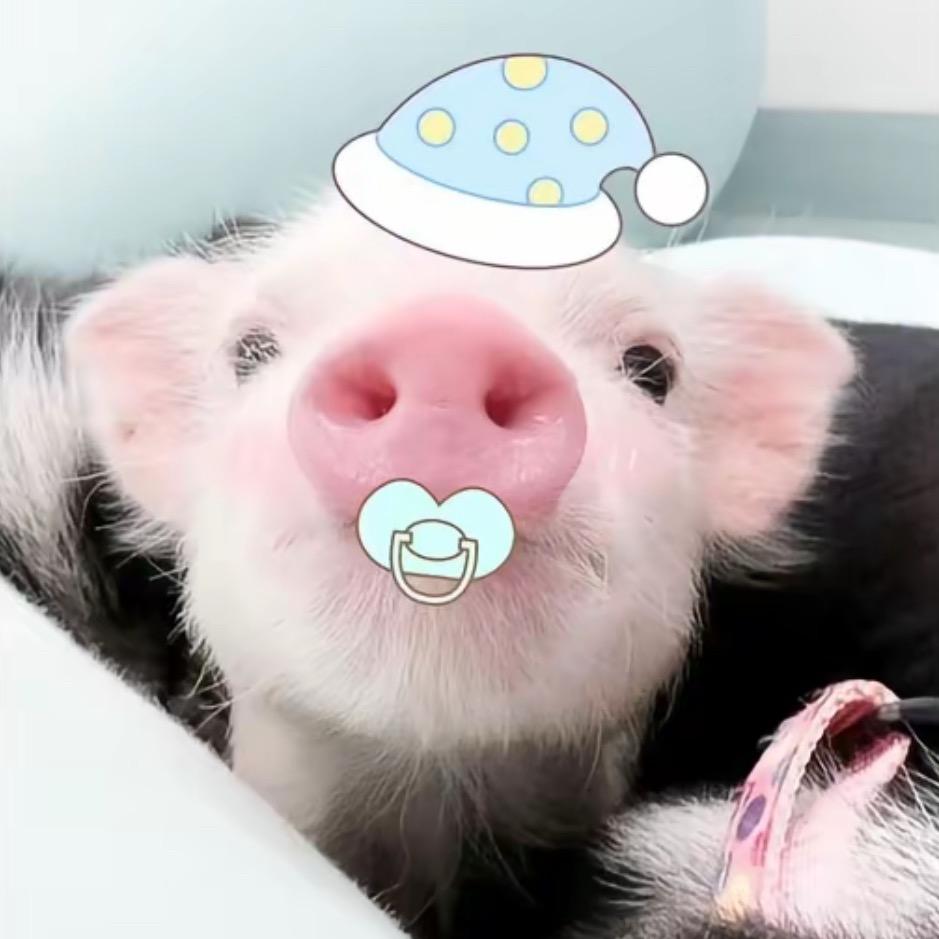 皇帝一直一个人