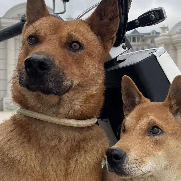🫵🐕‍🦺野外战士🐕‍🦺🫵
