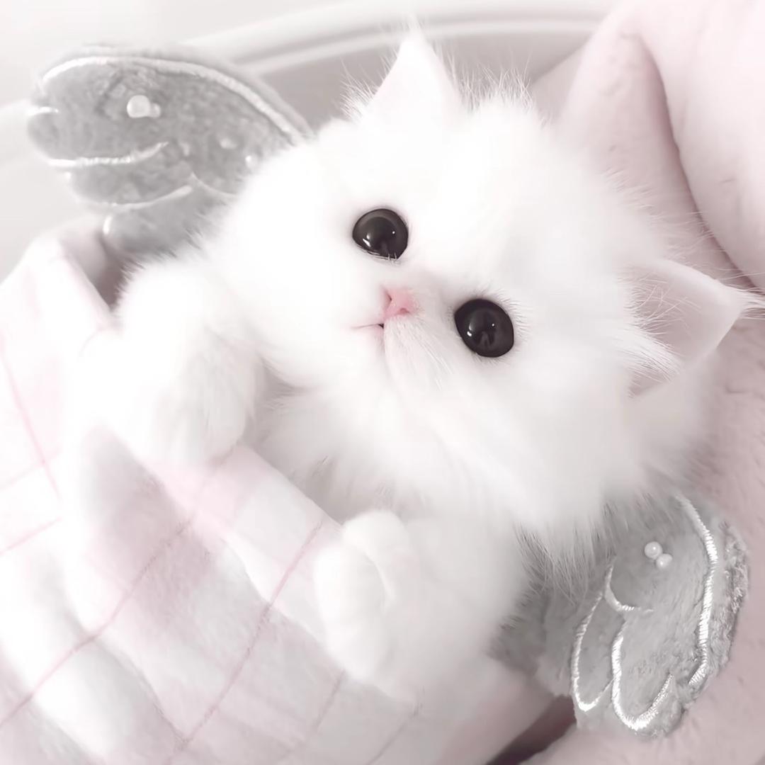 艺