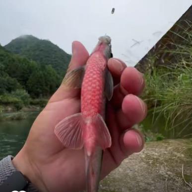 用户25356671892