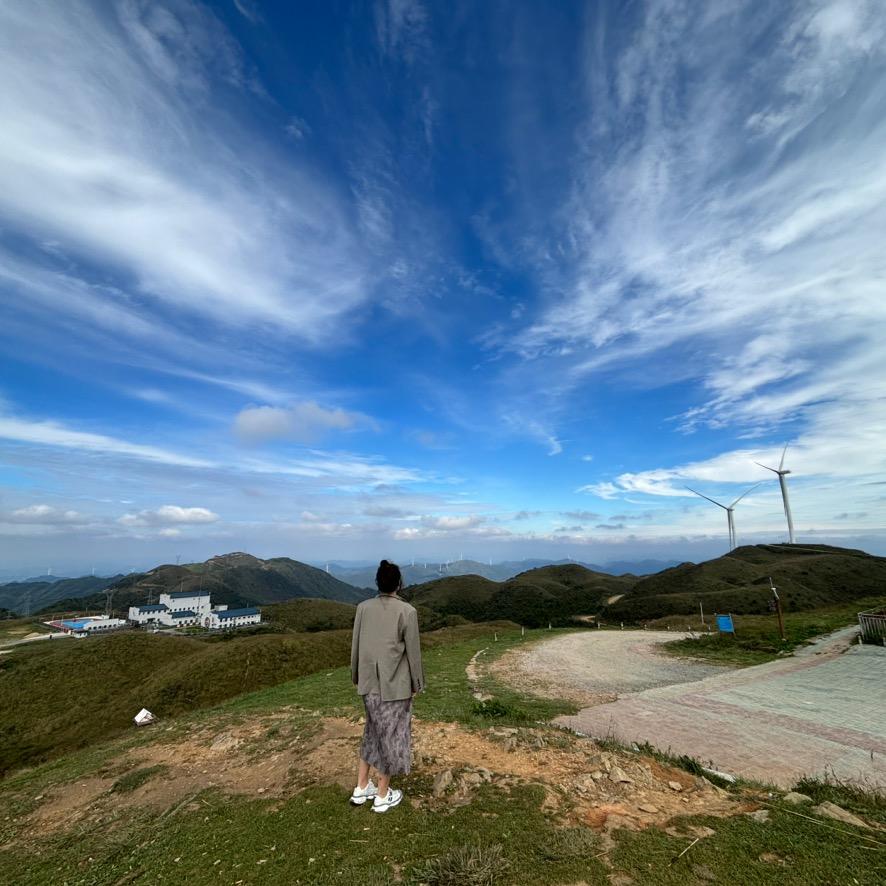 媛媛不吃芒果