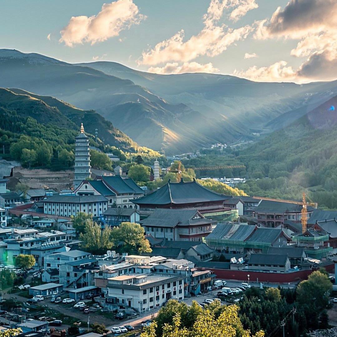 张拾y🇨🇳