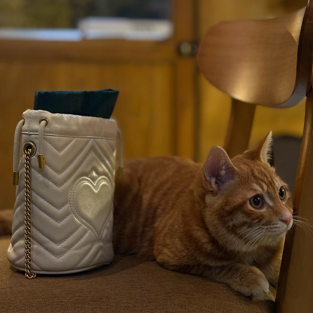 住田景房的金阿姨