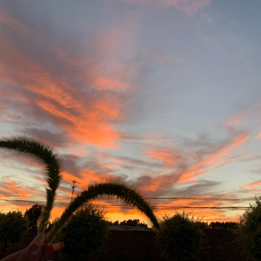 小代小代，生活不赖💋