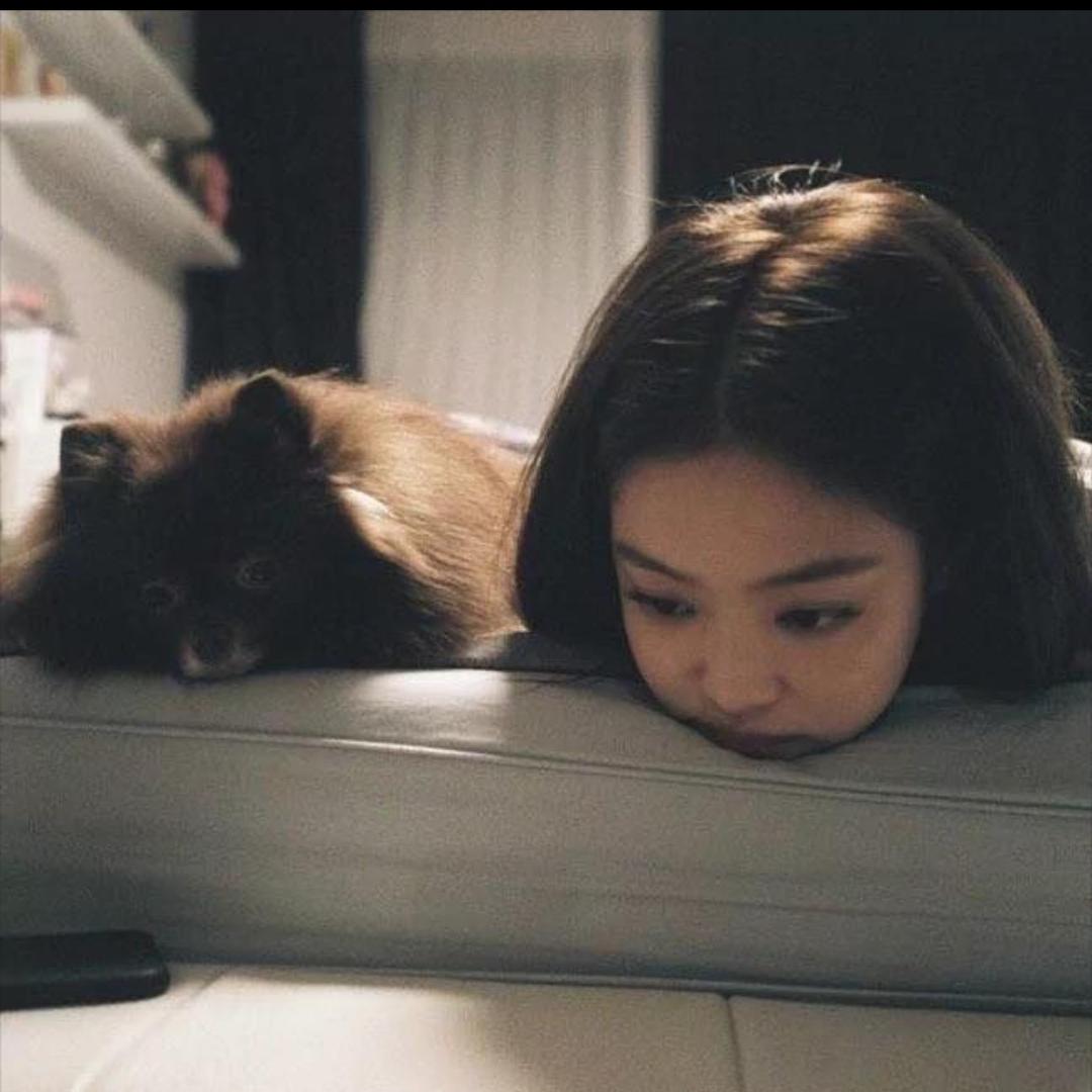YY大人