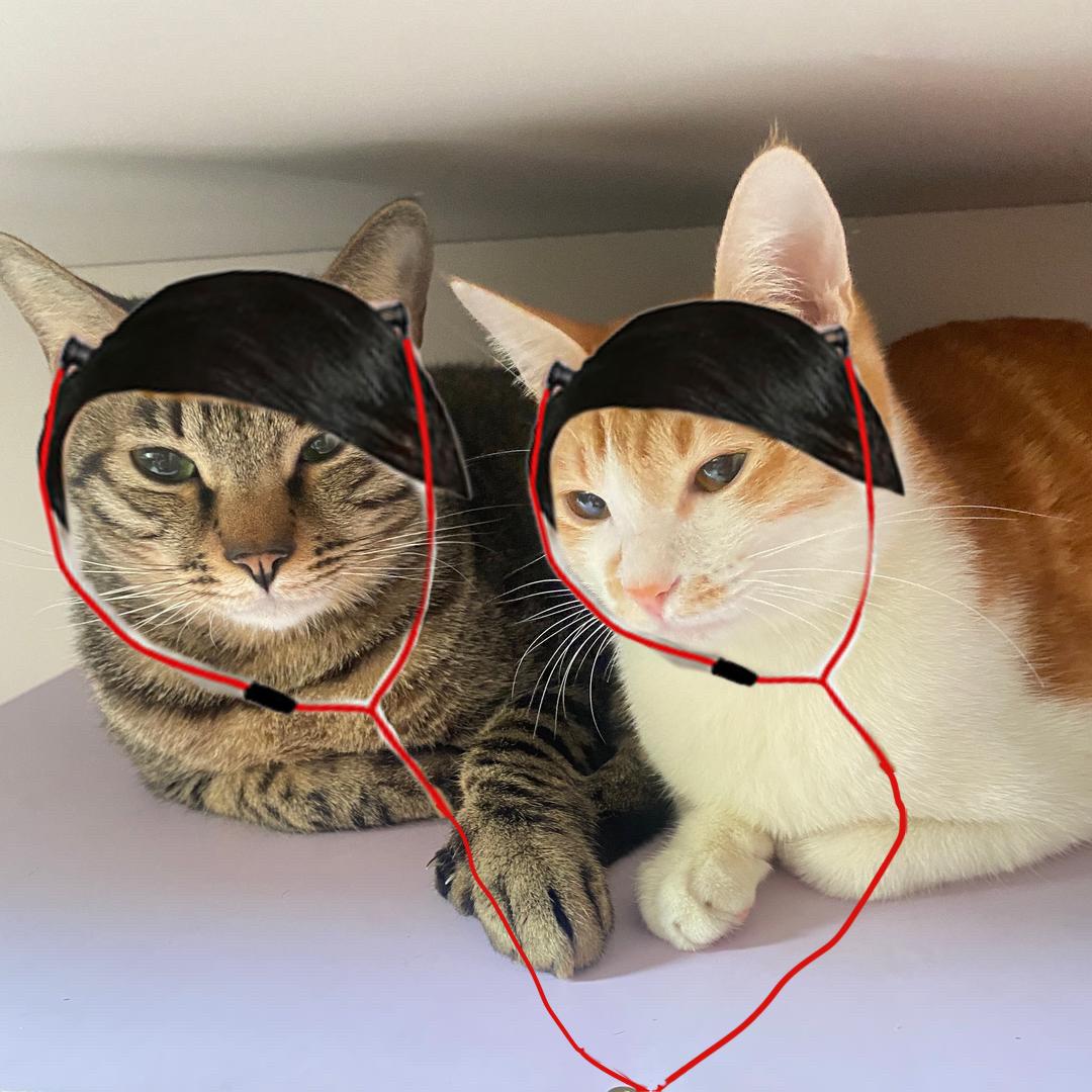 不加糖加柠檬汁