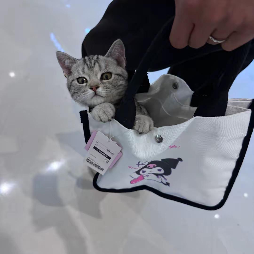 安安安先生