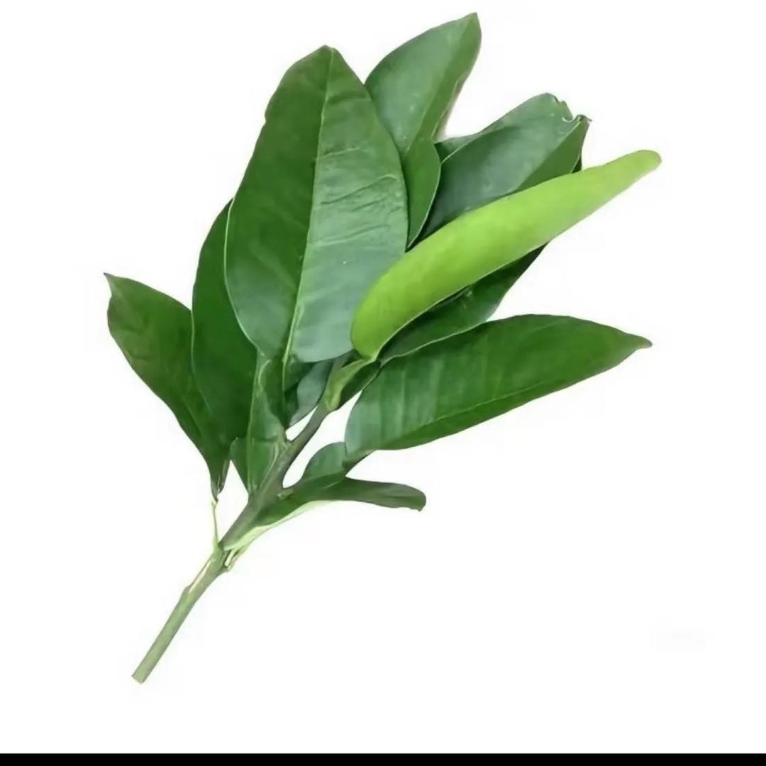 果果，