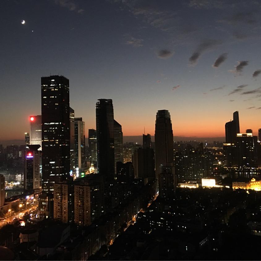 小白鼠