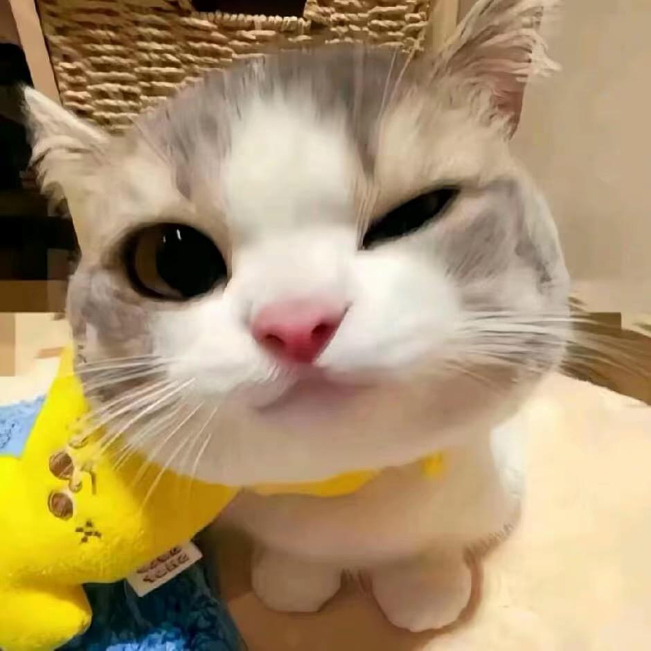 兰兰