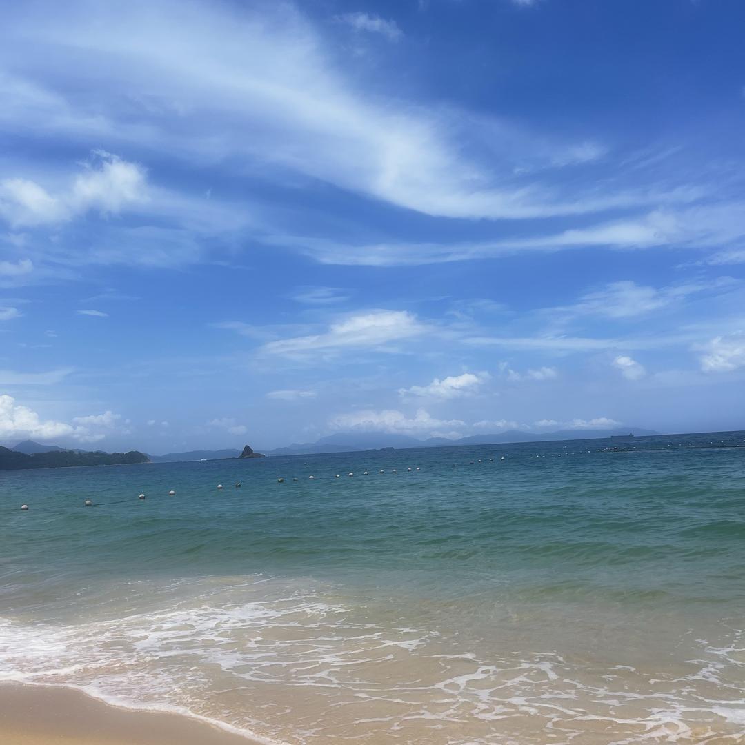 沃是小赵