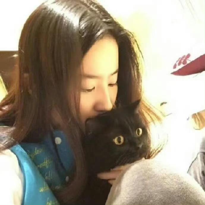 芝士脑袋12345