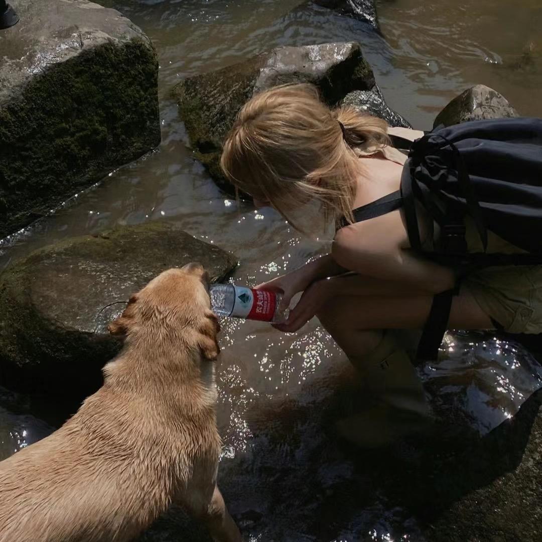 发呆呆呆的羊🐑