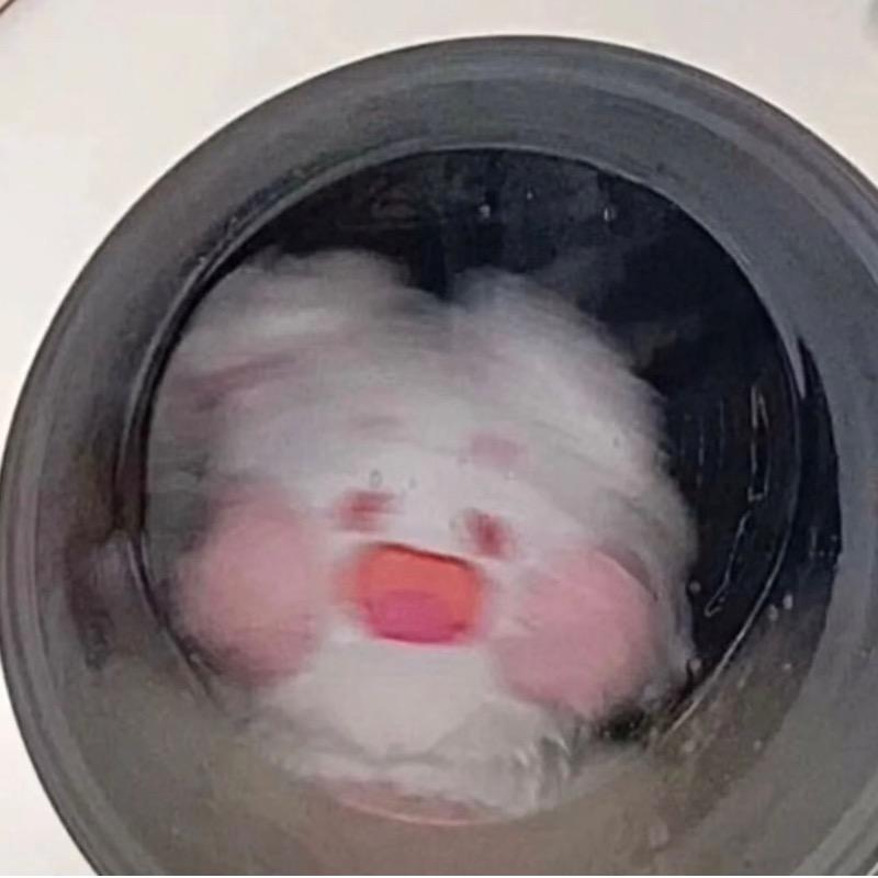不爱喝鱼汤🐟