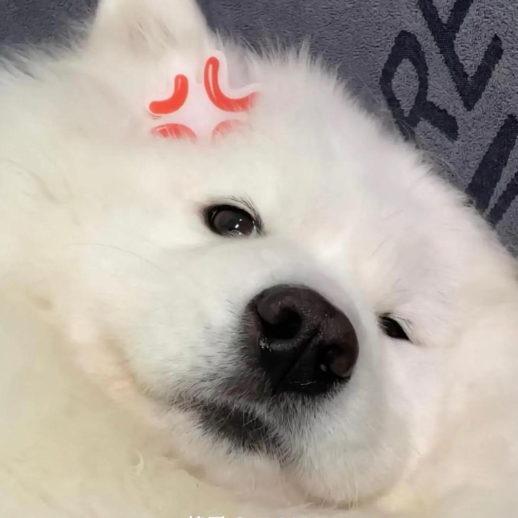 霏.