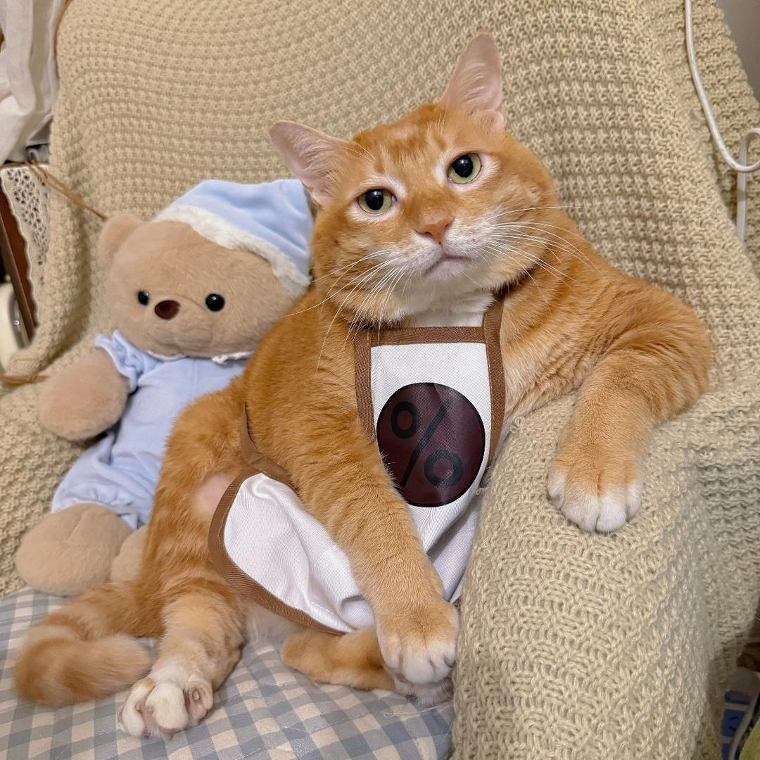 哈哈哈哈哈哈哈哈哈