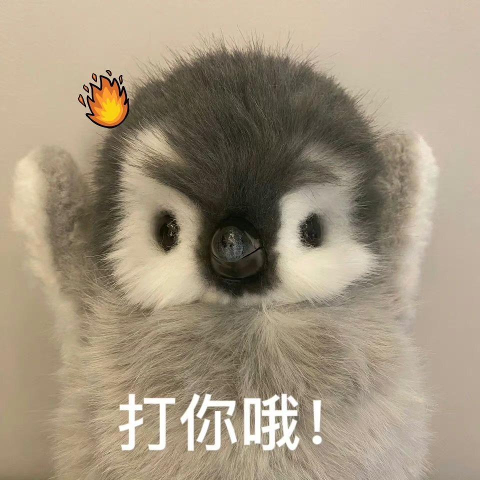 猪仔小米小葵的妈