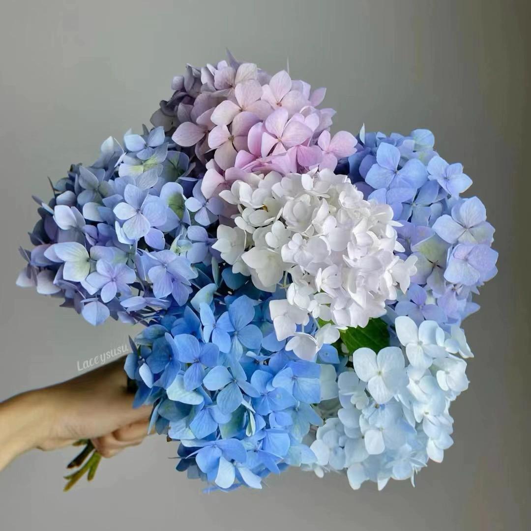 有家花卉坊