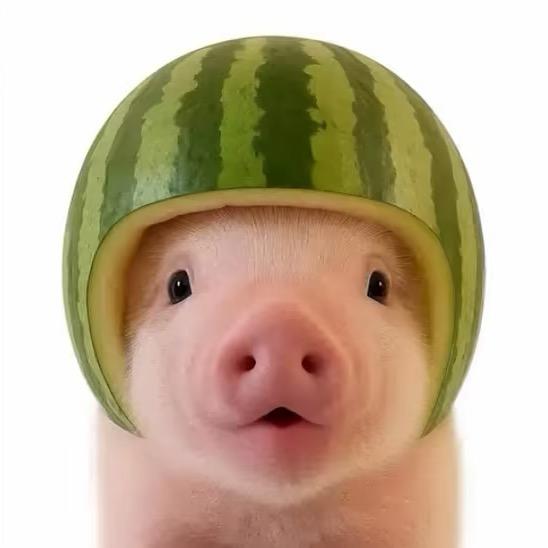 ᅠᅠᅠᅠᅠ