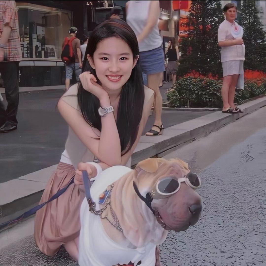 点点3r