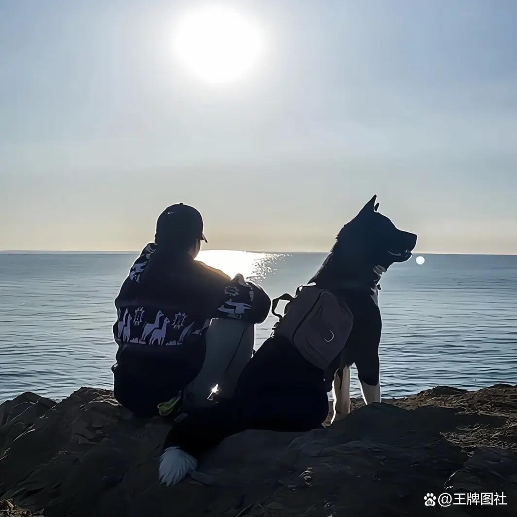 ༄༅༉涅槃༊重生.