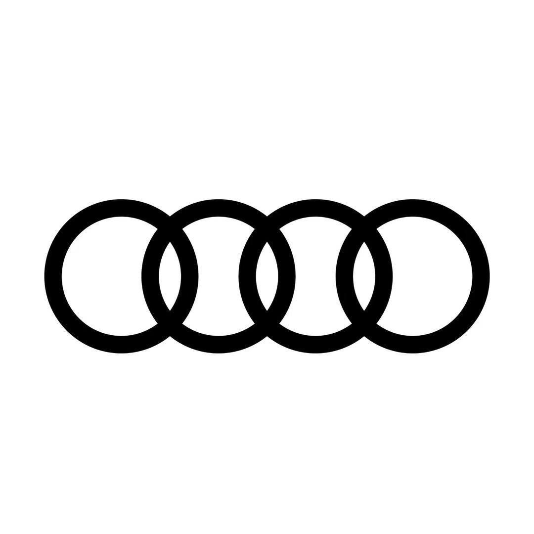 一汽奥迪新能源-马鞍山康奥