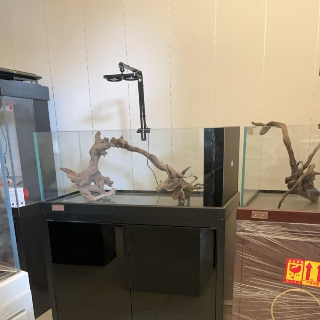 金帮水族馆