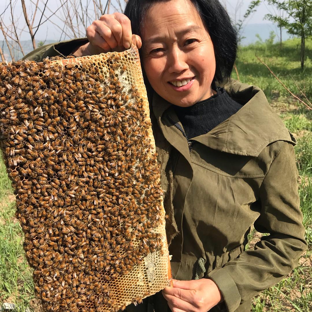 养蜂大姐阿娘