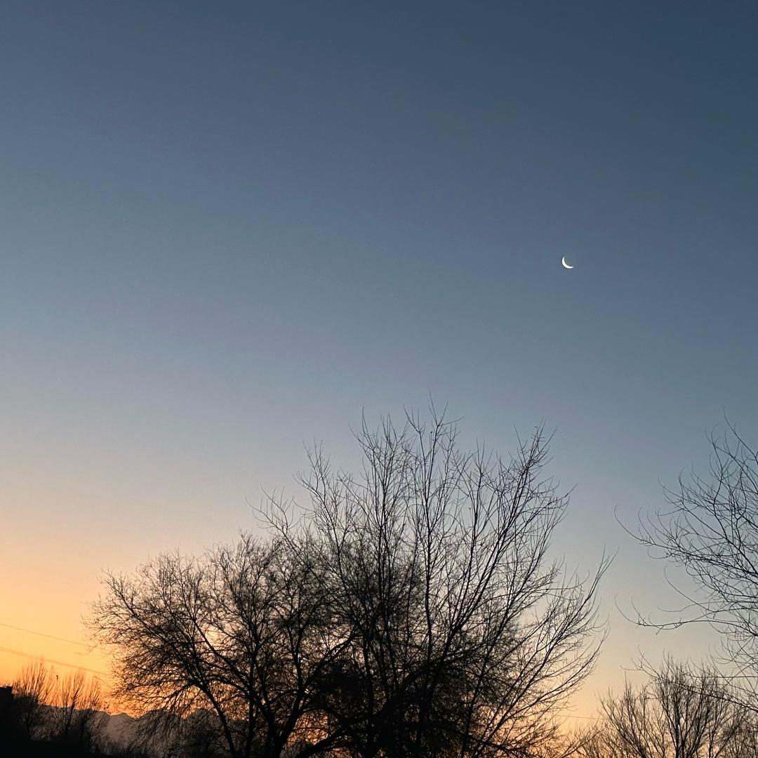 ↜我̨是̨恶̨魔̨↝