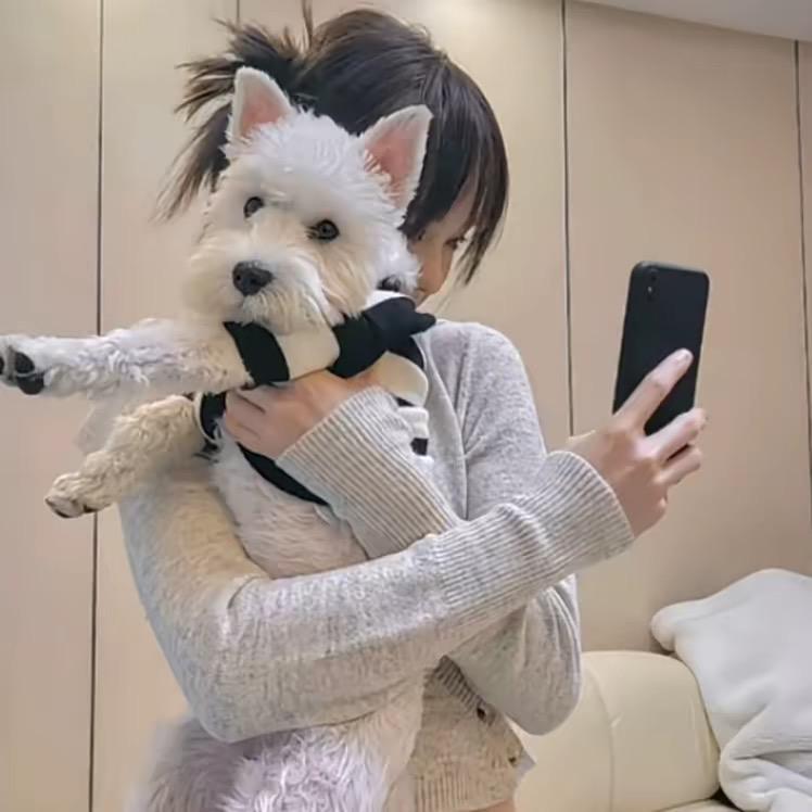 小七