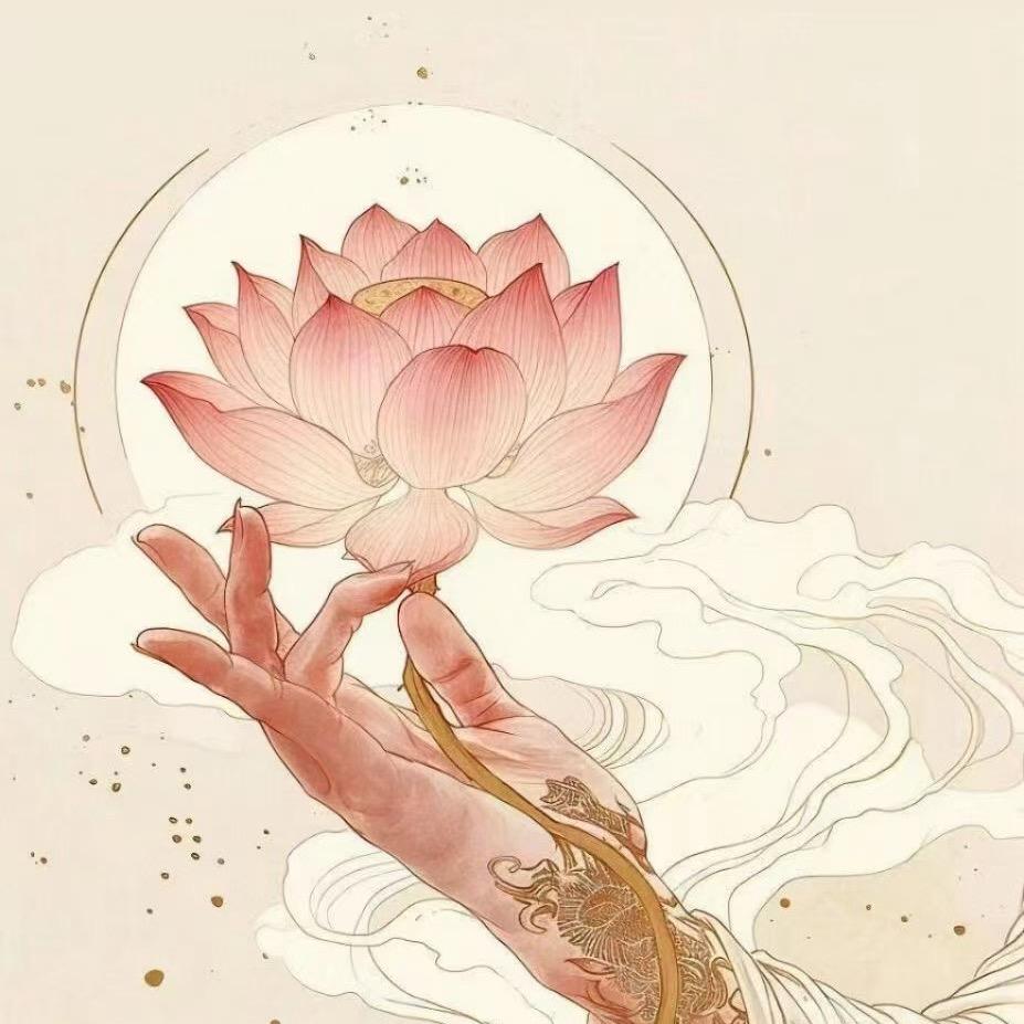 清欢🪷