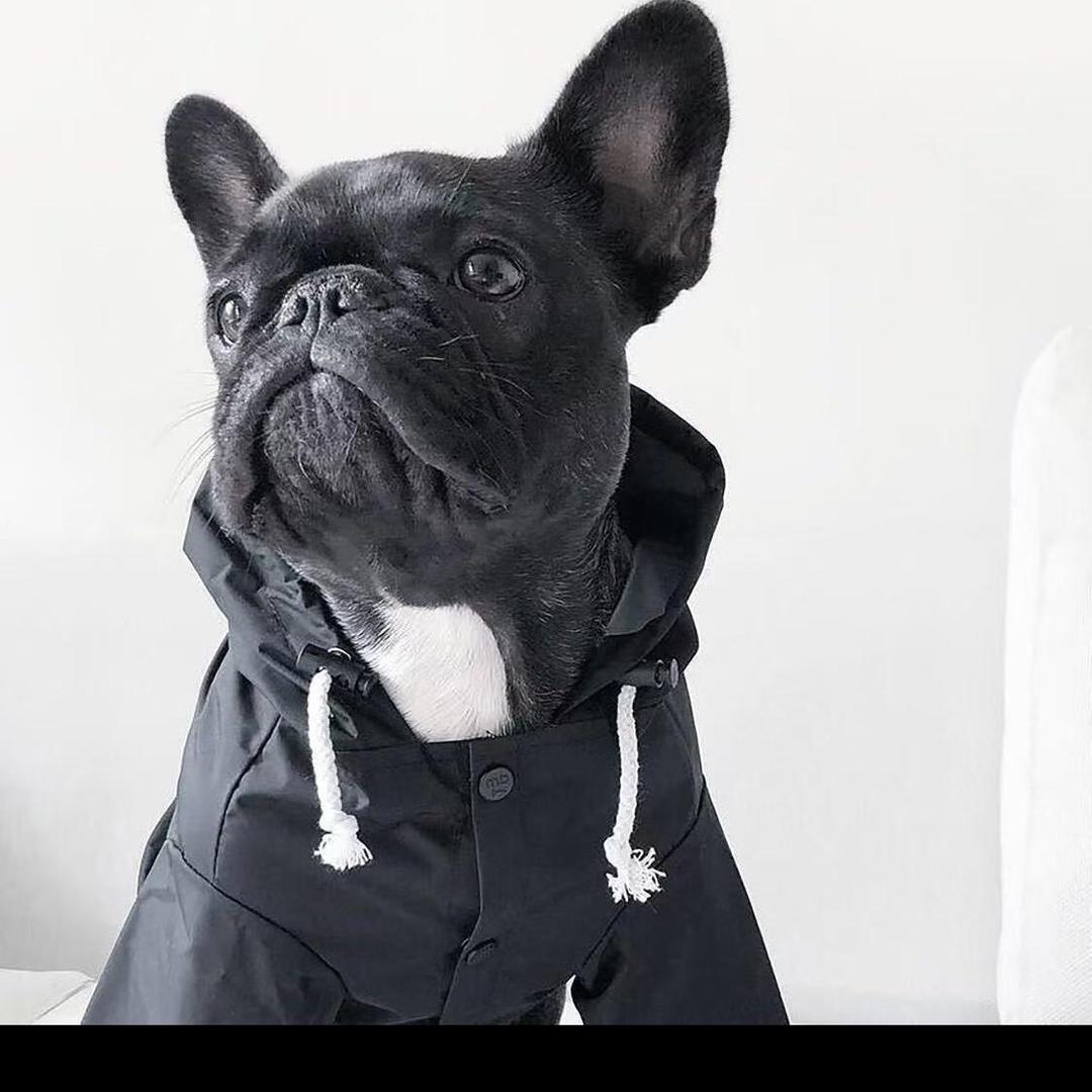 木子🍠前段流量