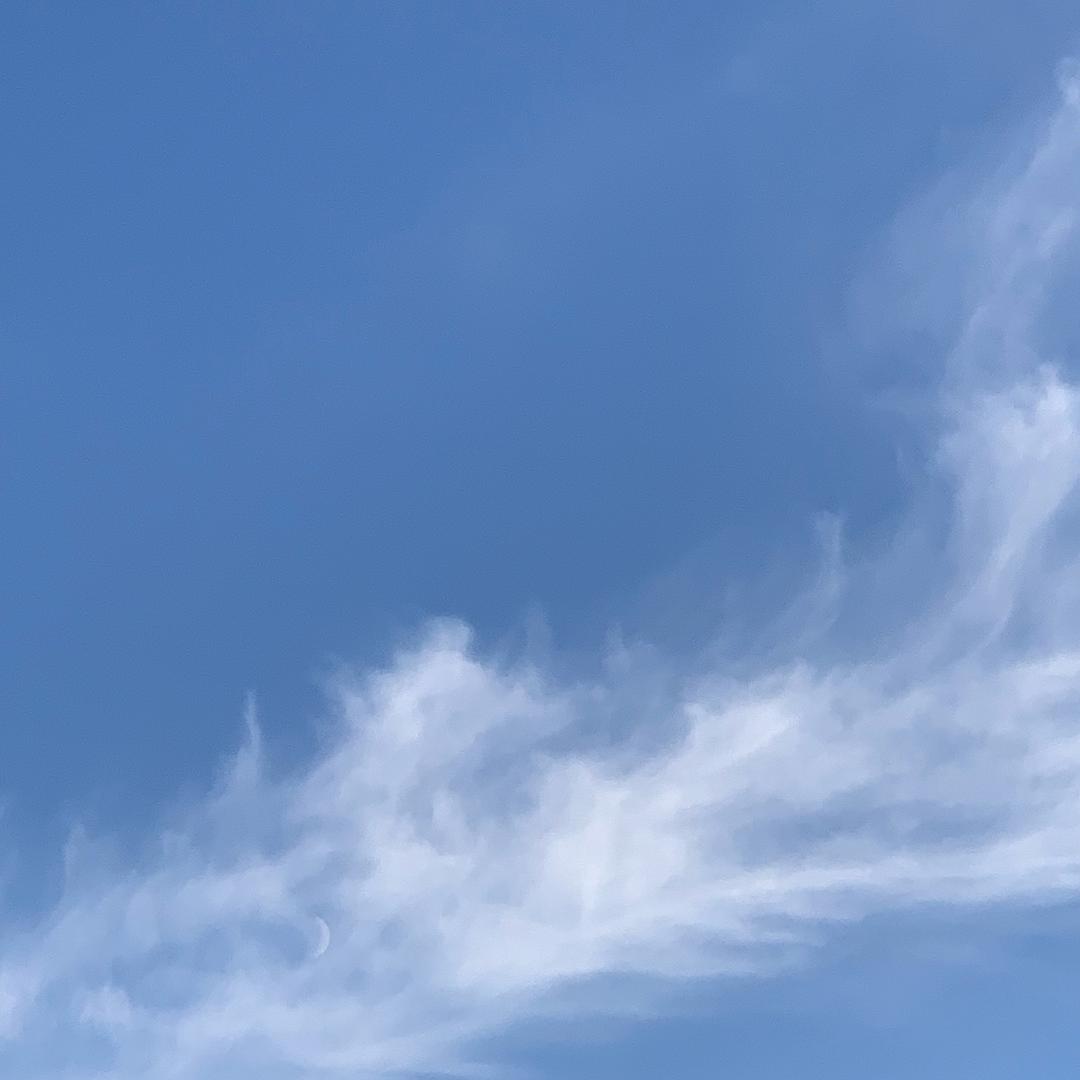 你就