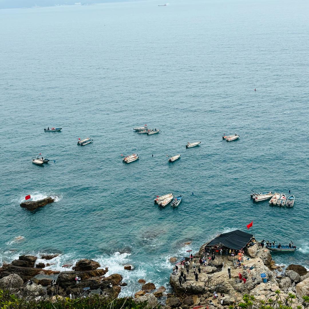 @不吃香菜呀.（首播）