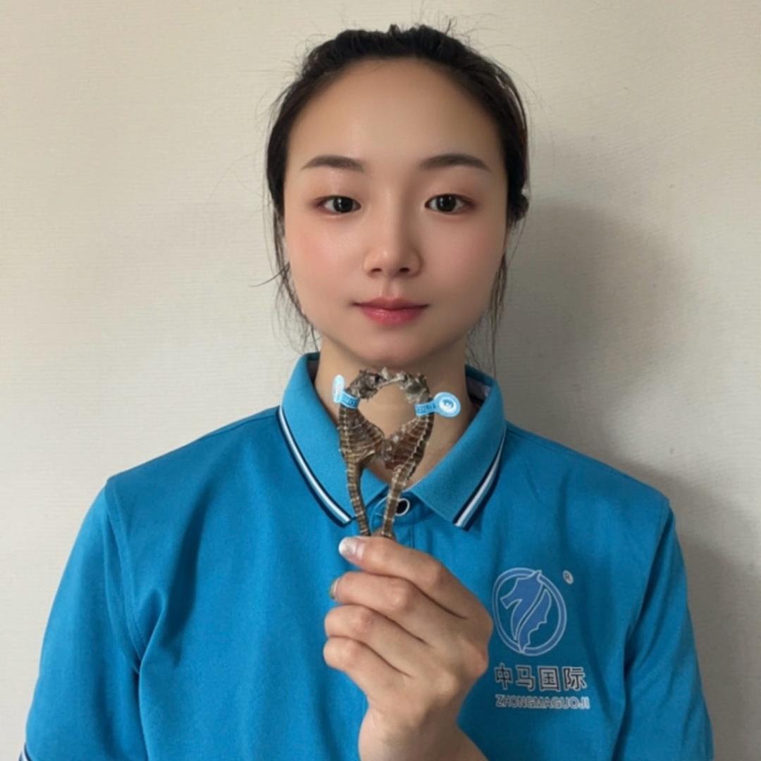 卖海马的90后姑娘