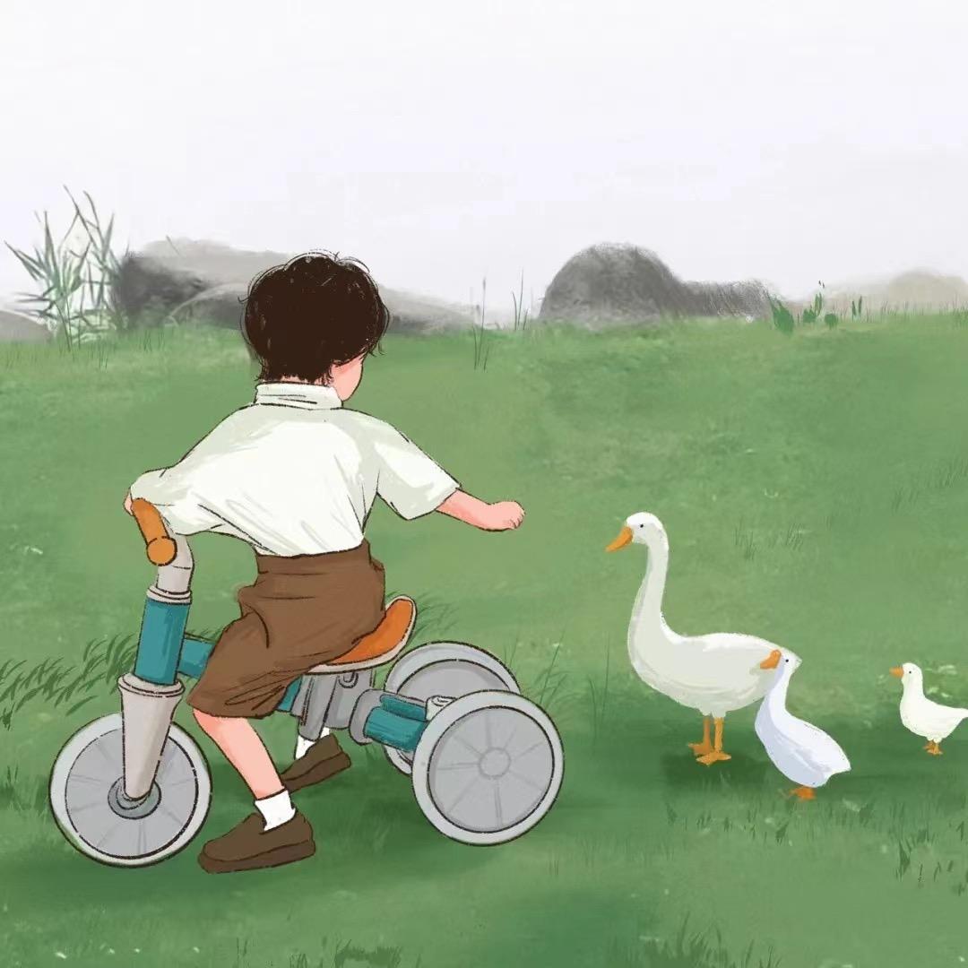 金陵赵一刀