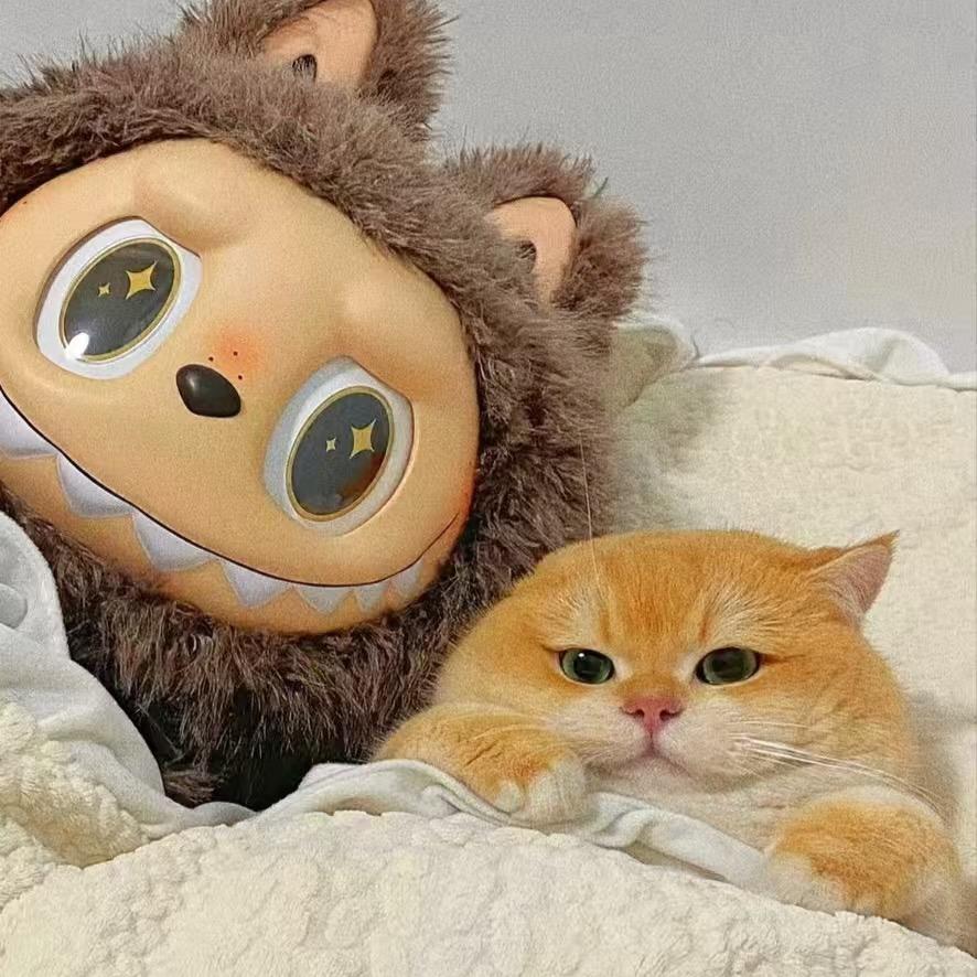 …….