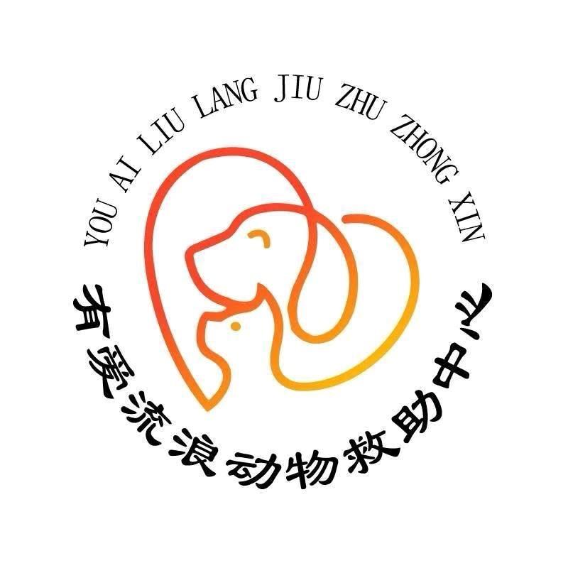 有爱动物救助小雪