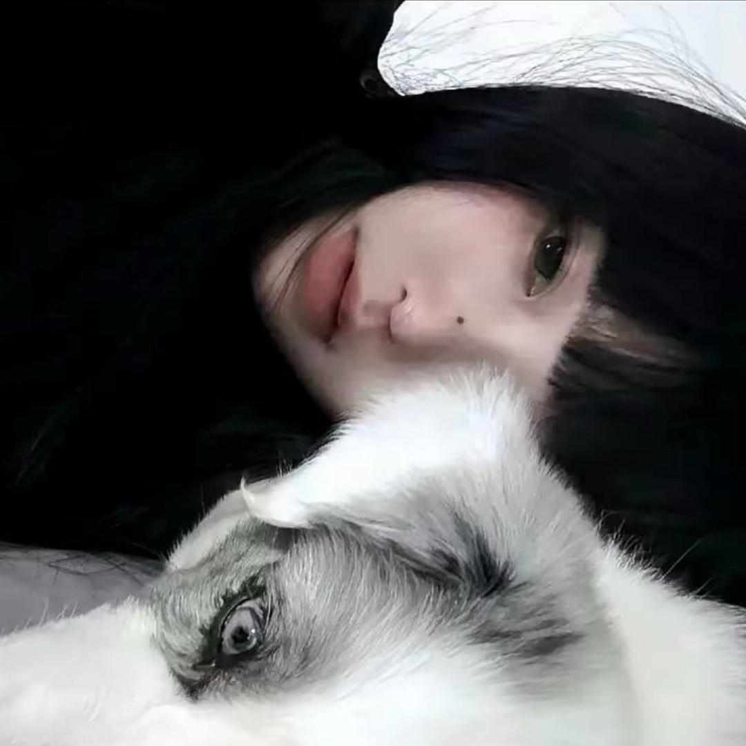 又他喵是我错了呗.