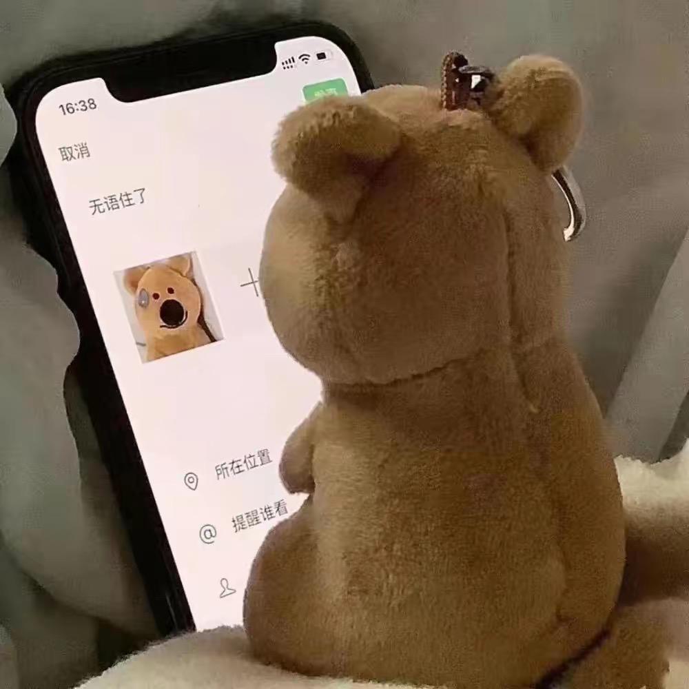 一个洋洋