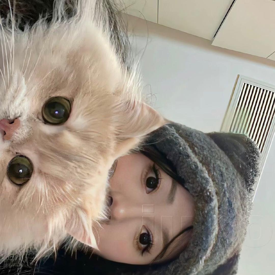 可可