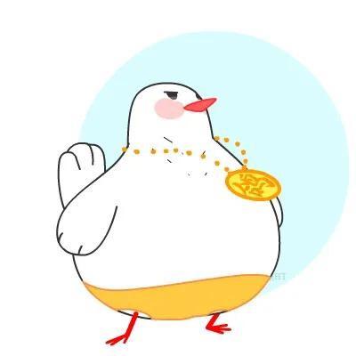 豫弟鸽鸽