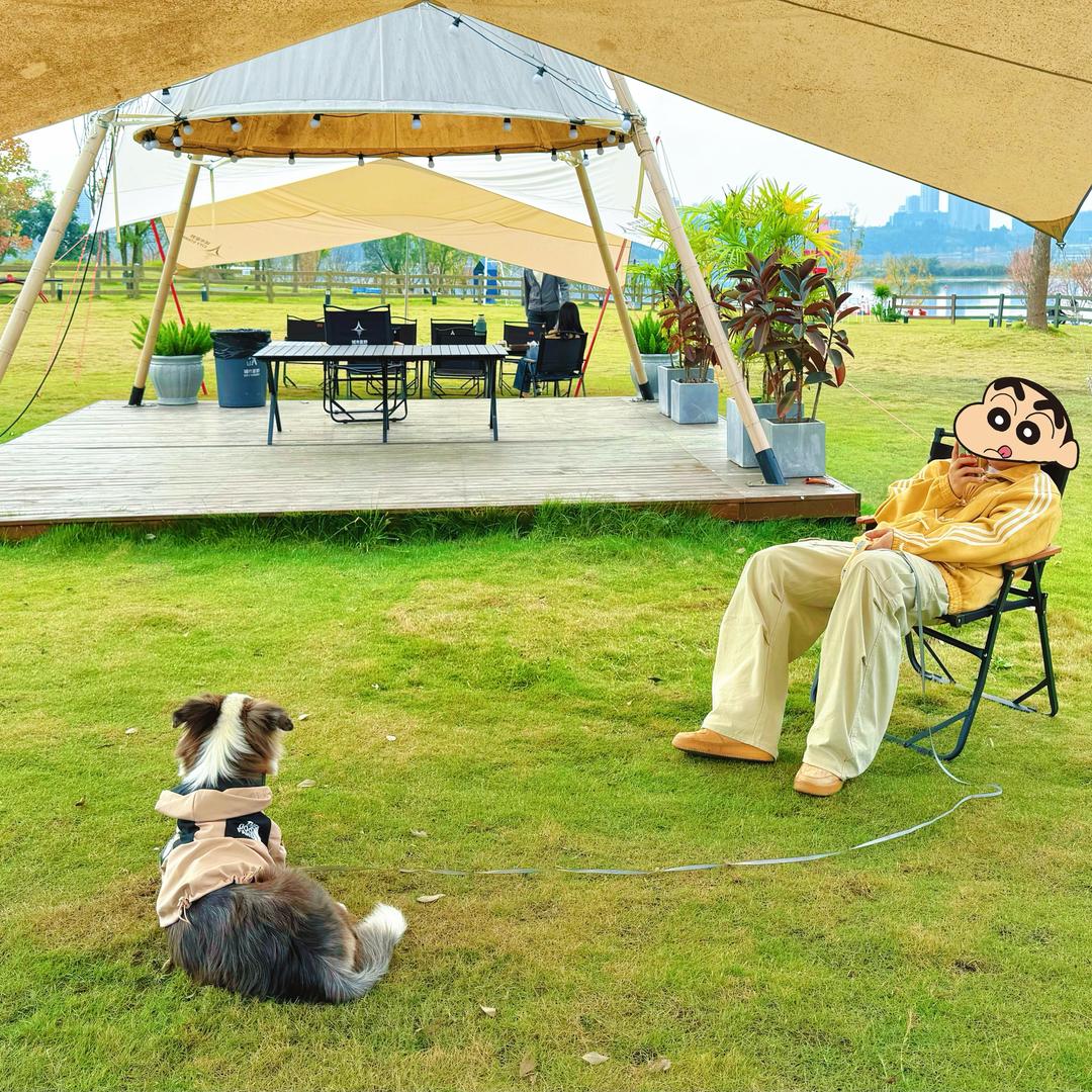 没有腹肌不改网名✌️