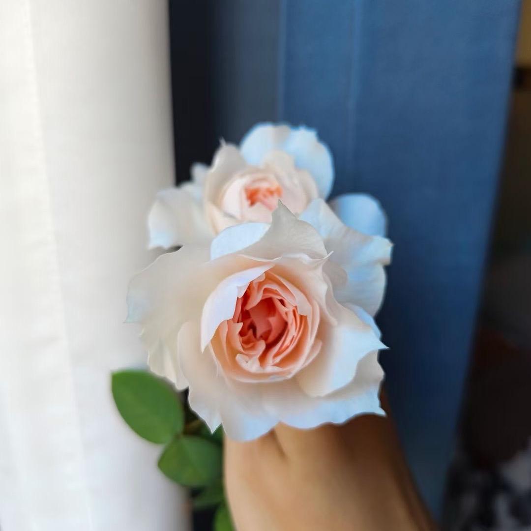 用户名21594284头像