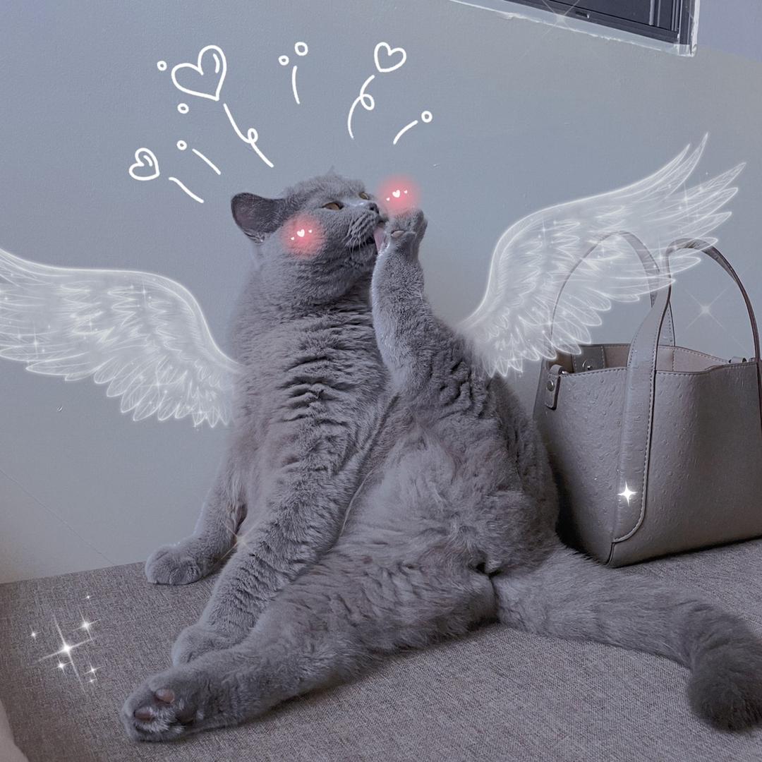 🐰塔妹、