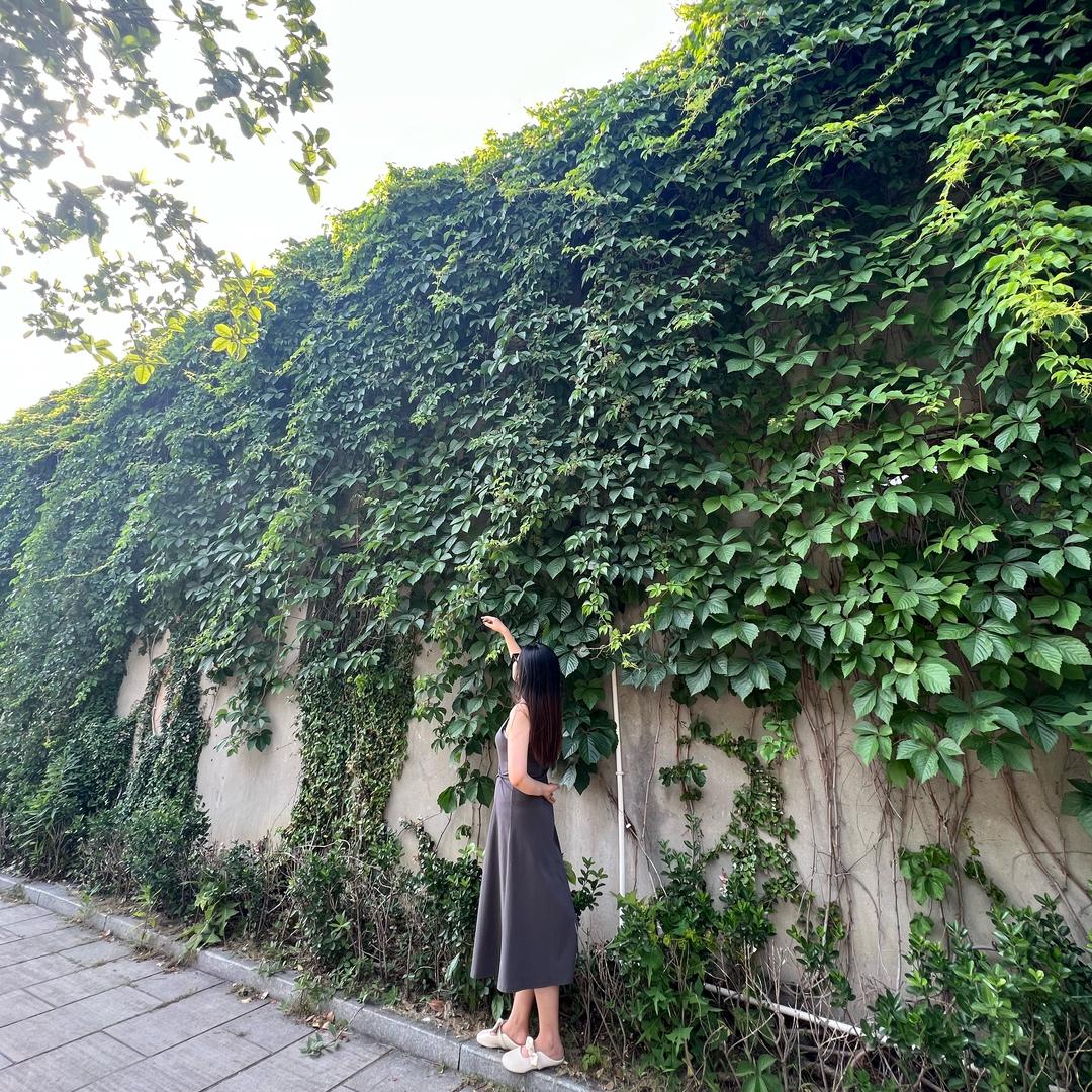 小胡胡的胡呀🐋