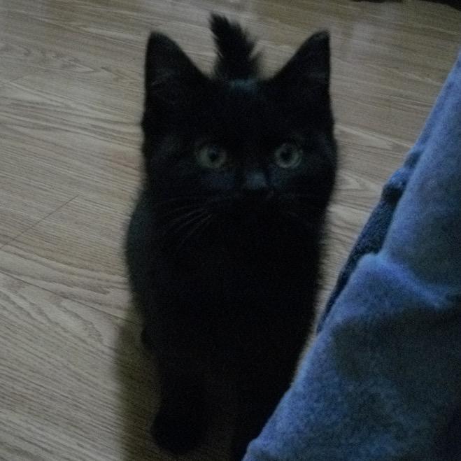 立白不是洗衣液